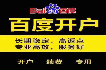 某某sem广告公司成功案例：如何通过SEM优化提高电商销售额