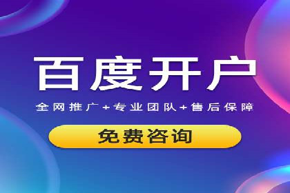 实战解析：SEM代运营成功案例分享